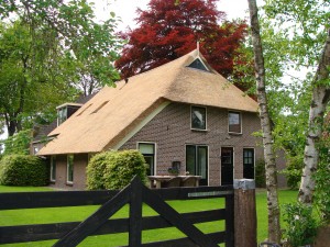 Brink en Bos in het voorjaar met de rode beuk in vol ornaat.