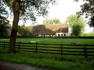 Een prachtige Saksische boerderij in het Westeinde.