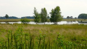 Davidsplassen. In het Dwingelderveld zijn vele van deze vennen.