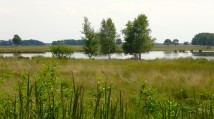 Nationaalpark Dwingelderveld.